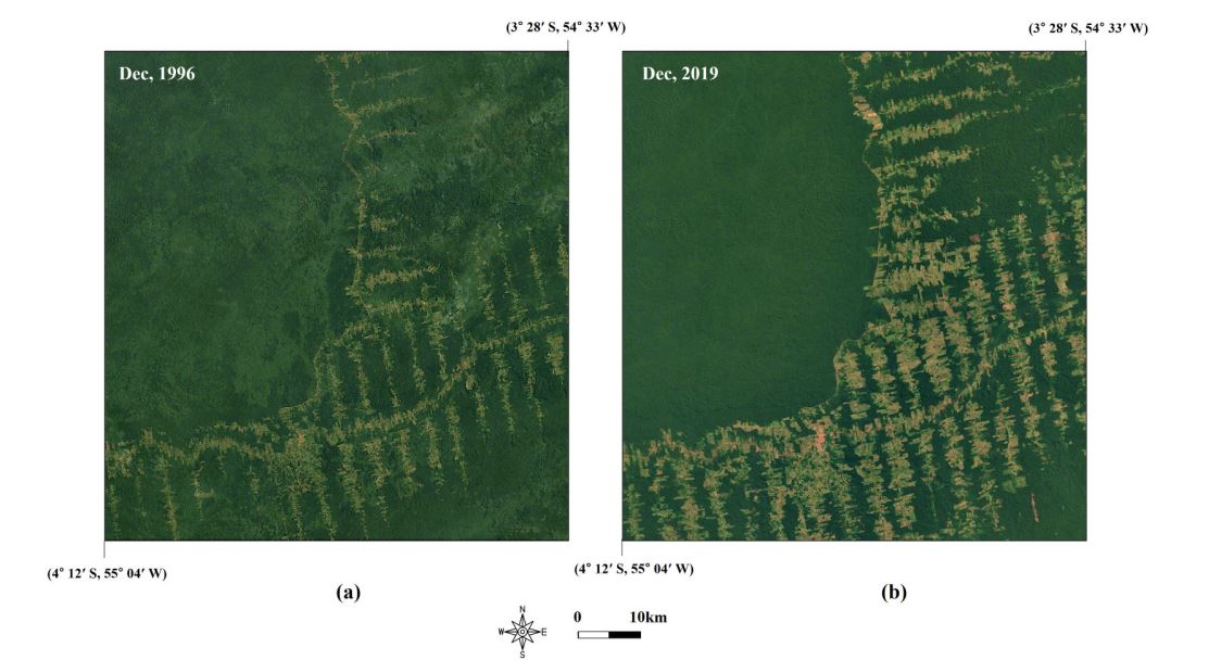 Generating High-Resolution Labels Using a Low-Resolution Amazon Deforestation Dataset and Pseudo-Labeling Techniques