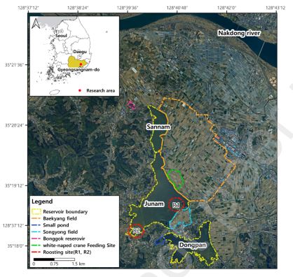 Evaluation of the Detection Feasibility and Monitoring Potential of Large Wintering Waterbirds Using Kompsat-3/3a Satellite Imagery