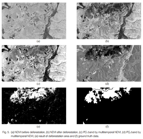 ITPCA 기반의 무감독 변화탐지 기법을 이용한 산림황폐화 분석 첨부 이미지