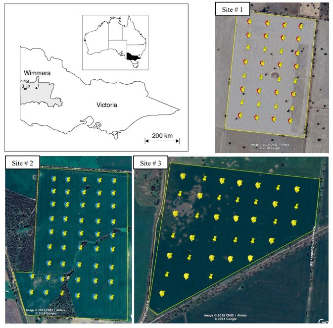 Development of a Web-Based Analytical Framework for Soil Moisture Estimation Using Multipolarized SAR Data