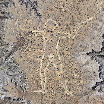 호주 Maree Maree Man