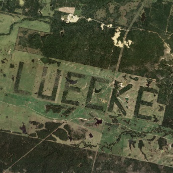 미국 Texas Luecke Farm