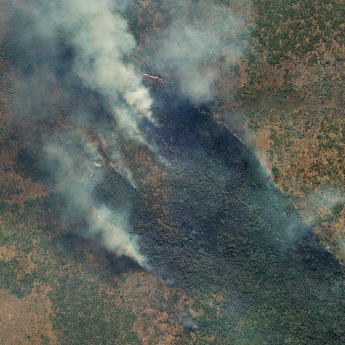 탄자니아 Mtenga 화재